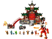 Ninja Dojo Temple