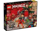 Ninja Dojo Temple