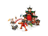 Ninja Dojo Temple
