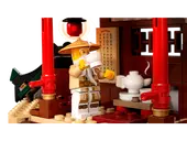 Ninja Dojo Temple
