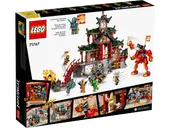 Ninja Dojo Temple