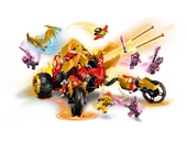 Kai's Golden Dragon Raider