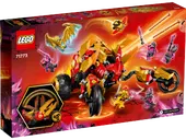 Kai's Golden Dragon Raider