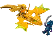 Arin's Rising Dragon Strike