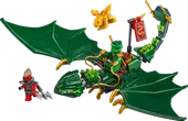 Lloyd's Green Forest Dragon