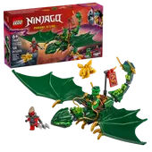 Lloyd's Green Forest Dragon