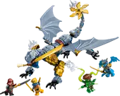 Ninja Dragon Riyu's Battle