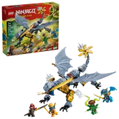 Ninja Dragon Riyu's Battle