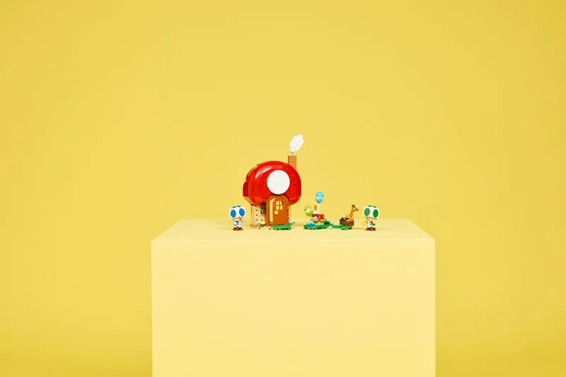 Party at Toad's House