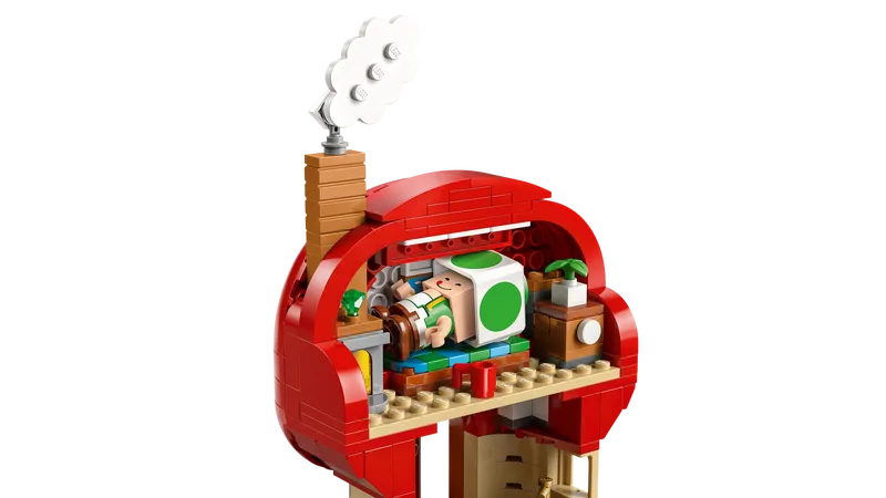 Party at Toad's House