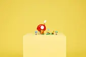 Party at Toad's House