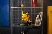 Pikachu and Poké Ball