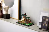 Dagobah Jedi Training Diorama