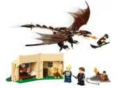 Hungarian Horntail Triwizard Challenge