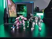 D.Va & Reinhardt