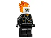 Spider-Man: Ghost Rider Team-up