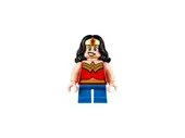 Mighty Micros: Wonder Woman vs. Doomsday