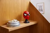 Spider-Man's Mask