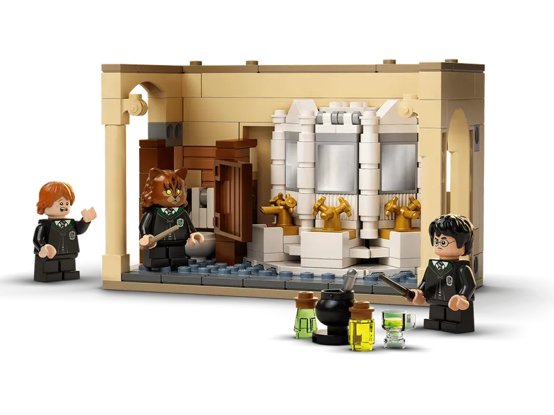 Hogwarts: Polyjuice Potion Mistake