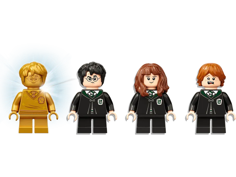 Hogwarts: Polyjuice Potion Mistake
