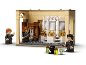Hogwarts: Polyjuice Potion Mistake