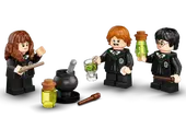 Hogwarts: Polyjuice Potion Mistake