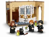 Hogwarts: Polyjuice Potion Mistake