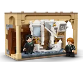 Hogwarts: Polyjuice Potion Mistake