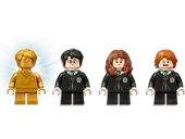 Hogwarts: Polyjuice Potion Mistake