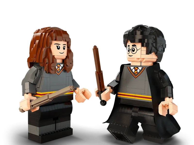 Harry Potter & Hermione Granger