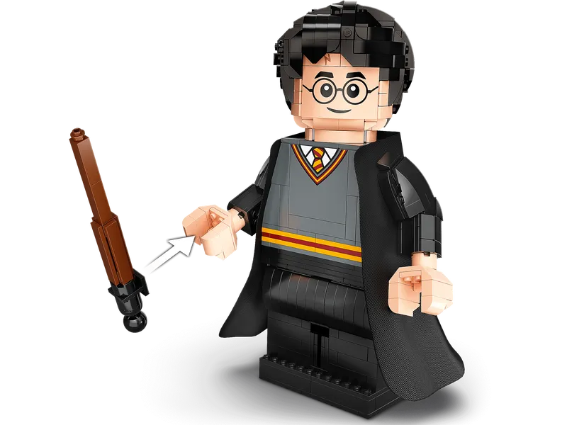 Harry Potter & Hermione Granger