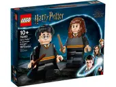 Harry Potter & Hermione Granger