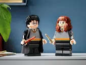 Harry Potter & Hermione Granger