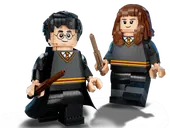 Harry Potter & Hermione Granger