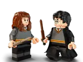 Harry Potter & Hermione Granger