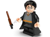 Harry Potter & Hermione Granger