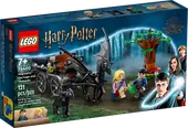 Hogwarts Carriage and Thestrals