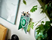 Slytherin House Banner