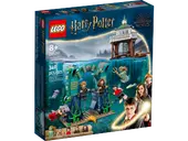 Triwizard Tournament: The Black Lake