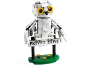 Hedwig at 4 Privet Drive
