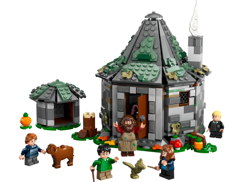 Hagrid's Hut: An Unexpected Visit