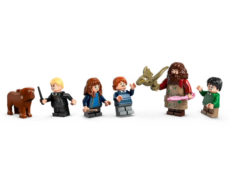 Hagrid's Hut: An Unexpected Visit