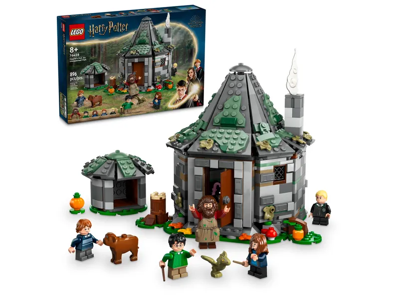 Hagrid's Hut: An Unexpected Visit