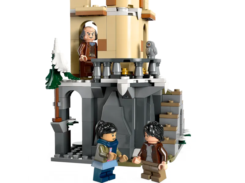 Hogwarts Castle Owlery