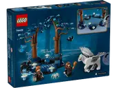 Forbidden Forest: Magical Creatures