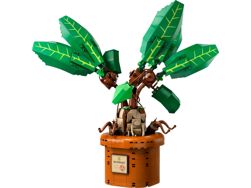 Mandrake
