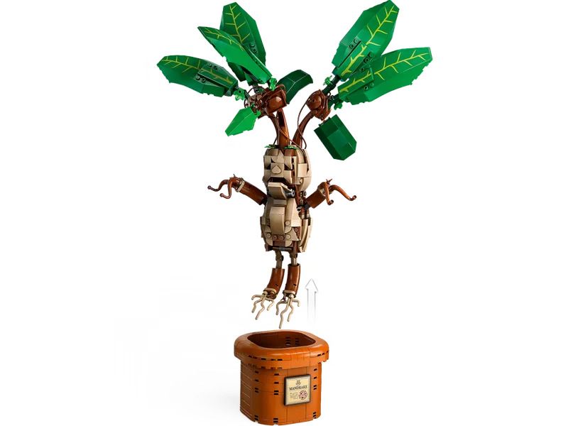 Mandrake