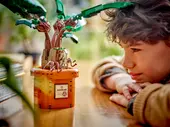 Mandrake