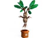 Mandrake