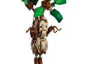 Mandrake